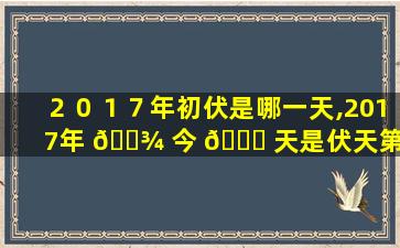 ２０１７年初伏是哪一天,2017年 🌾 今 🍀 天是伏天第几天